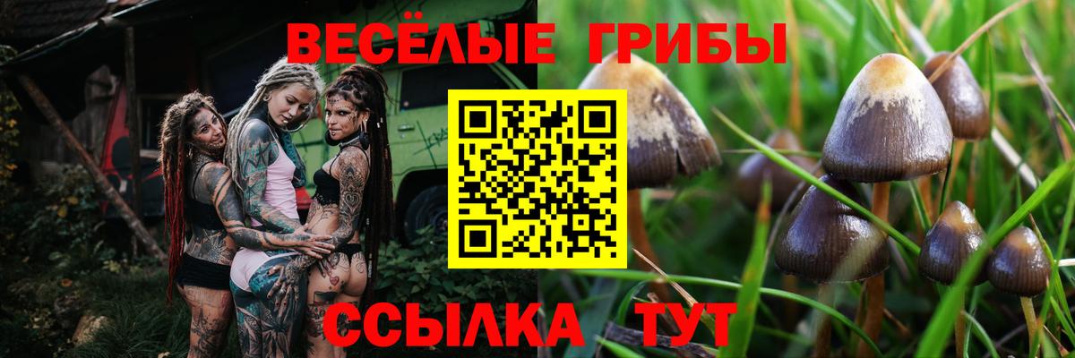 Псилоцибиновые грибы мицелий  Галлюциногенные грибы Magic Shrooms  наркотики  Арсеньев  Вход с VPN 
